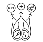 Command your cravings-10